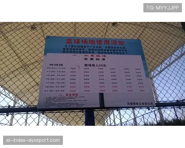 球场多语种指示牌统一设计手册发布，球场命名